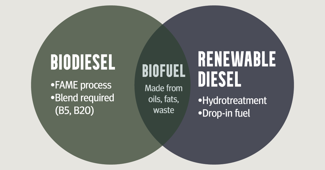 Renewable Diesel vs Biodiesel: What’s the Difference & Why It Matters ...